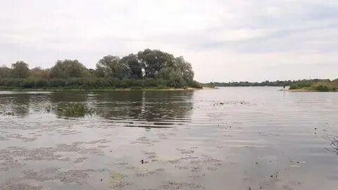 Уровень реки сож в славгороде