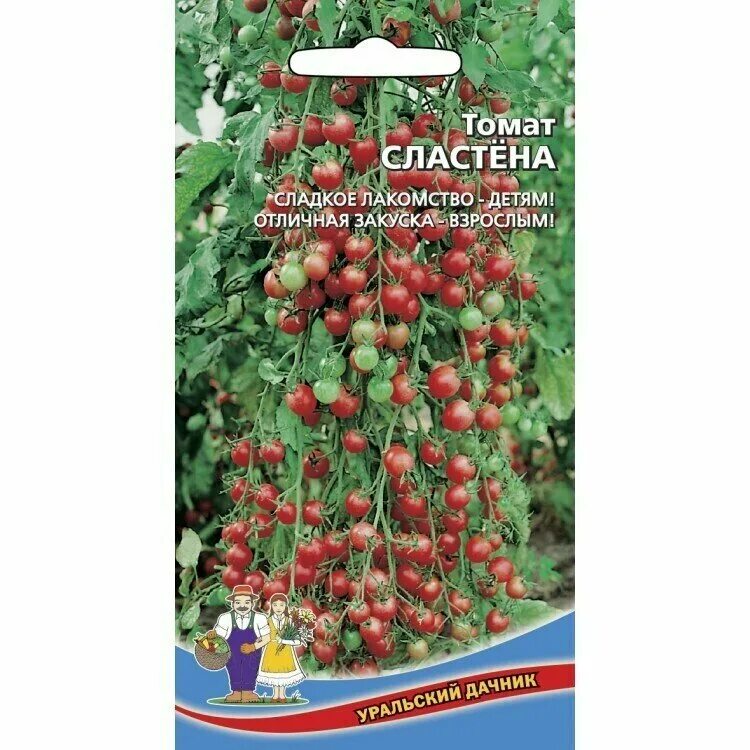 томат настя сластена. помидоры настя f1. томат настя сластена. томаты черри настя сластена. томат настенька f1.
