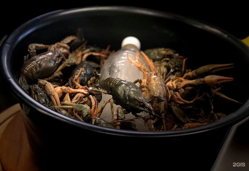 рачки для рыбалки живые. рачок из волги. ракообразные заказники краснодарского края. лучшие рачком. фото большой кучи раков.