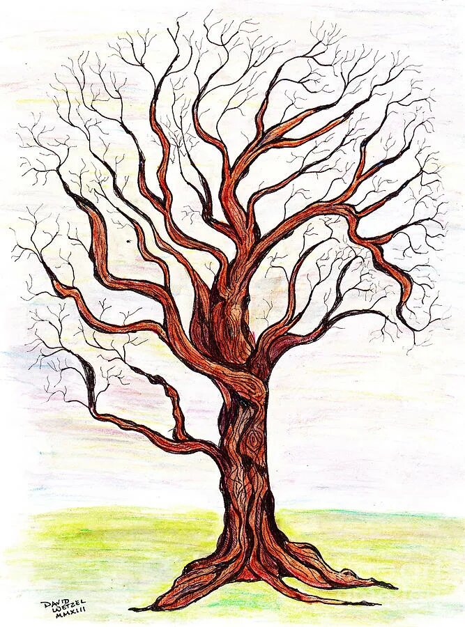 Дерево для рисования. Нарисовать дерево. Эскиз дерева в цвете. Нарисовать дерево для детей. Дерево на 4 листа а4