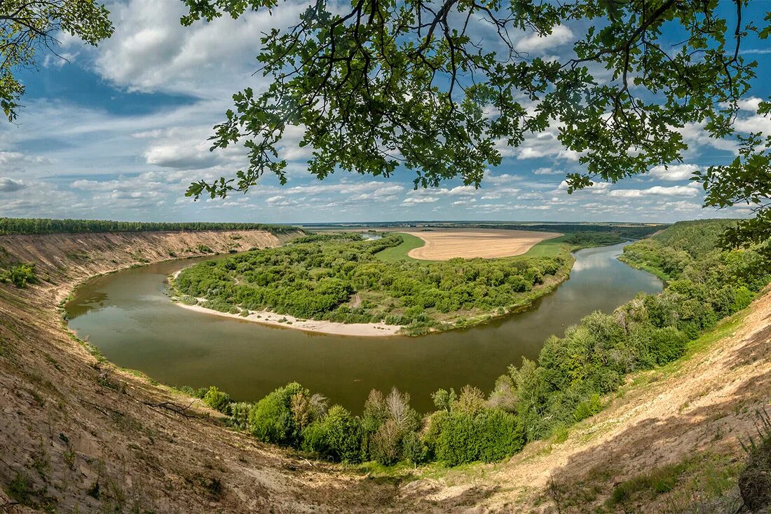 Река Дон, Кривоборье, Воронежская область. Кривоборье Воронежская область рек. Урочище Кривоборье в Воронеже. Кривоборье Рамонский район.