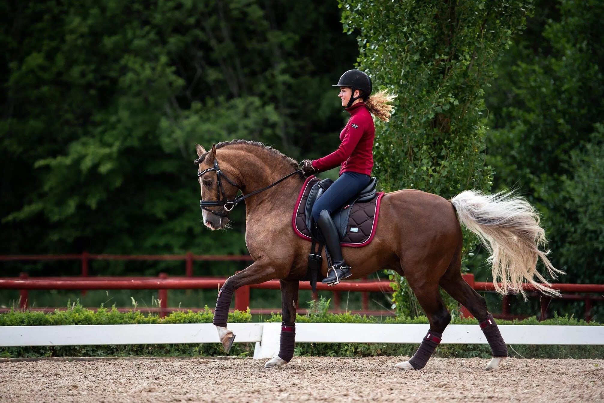 Start riding. Equestrian Stockholm выездка. Хорс райдинг. Верховая езда. Верховая езда на лошади.