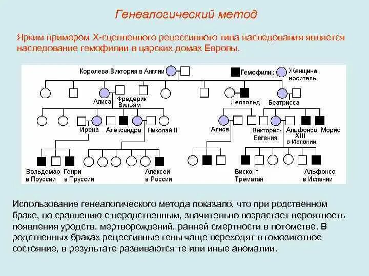 Х сцепленный рецессивный Тип наследования родословная. Фенилкетонурия Тип наследования родословная. Родословная с митохондриальным типом наследования. Родословная фенилкетонурия.