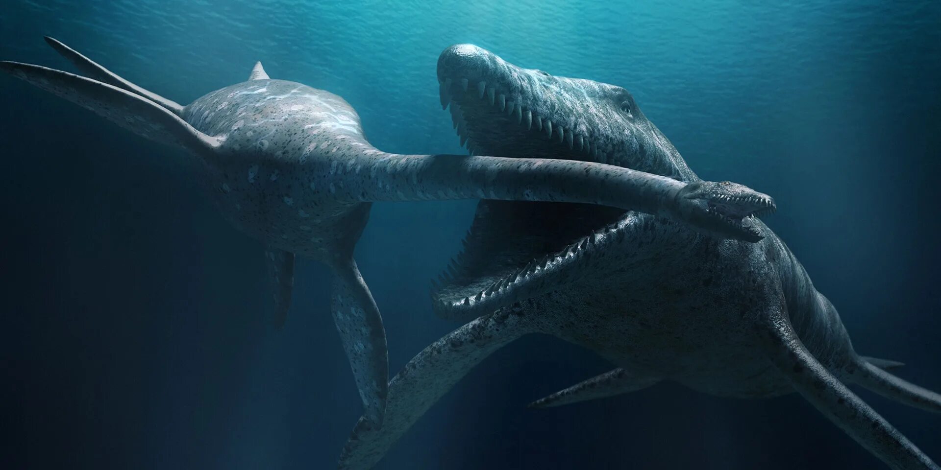 Морские чудовища. Глуп морское чудовище. Монстры под водой. Spinning hand sea monster. Spinning hand sea monster.