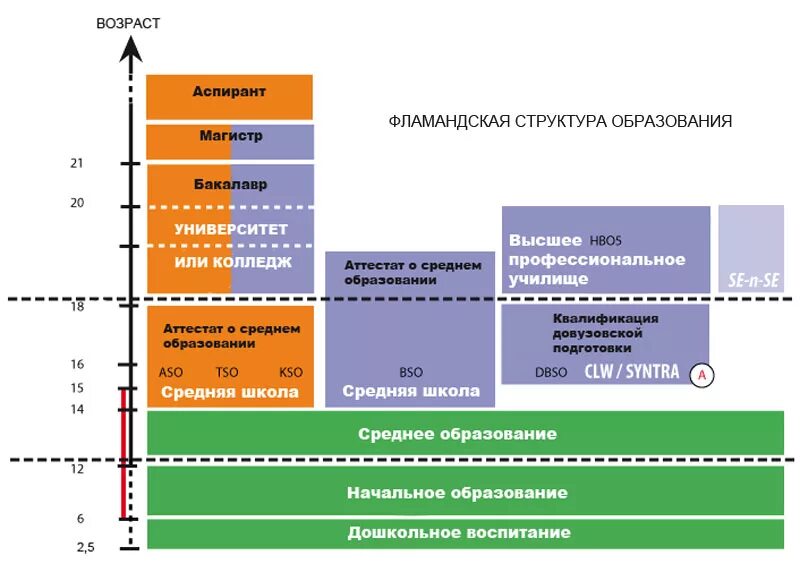 Возраст аспиранта