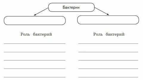 Заполни схему демос