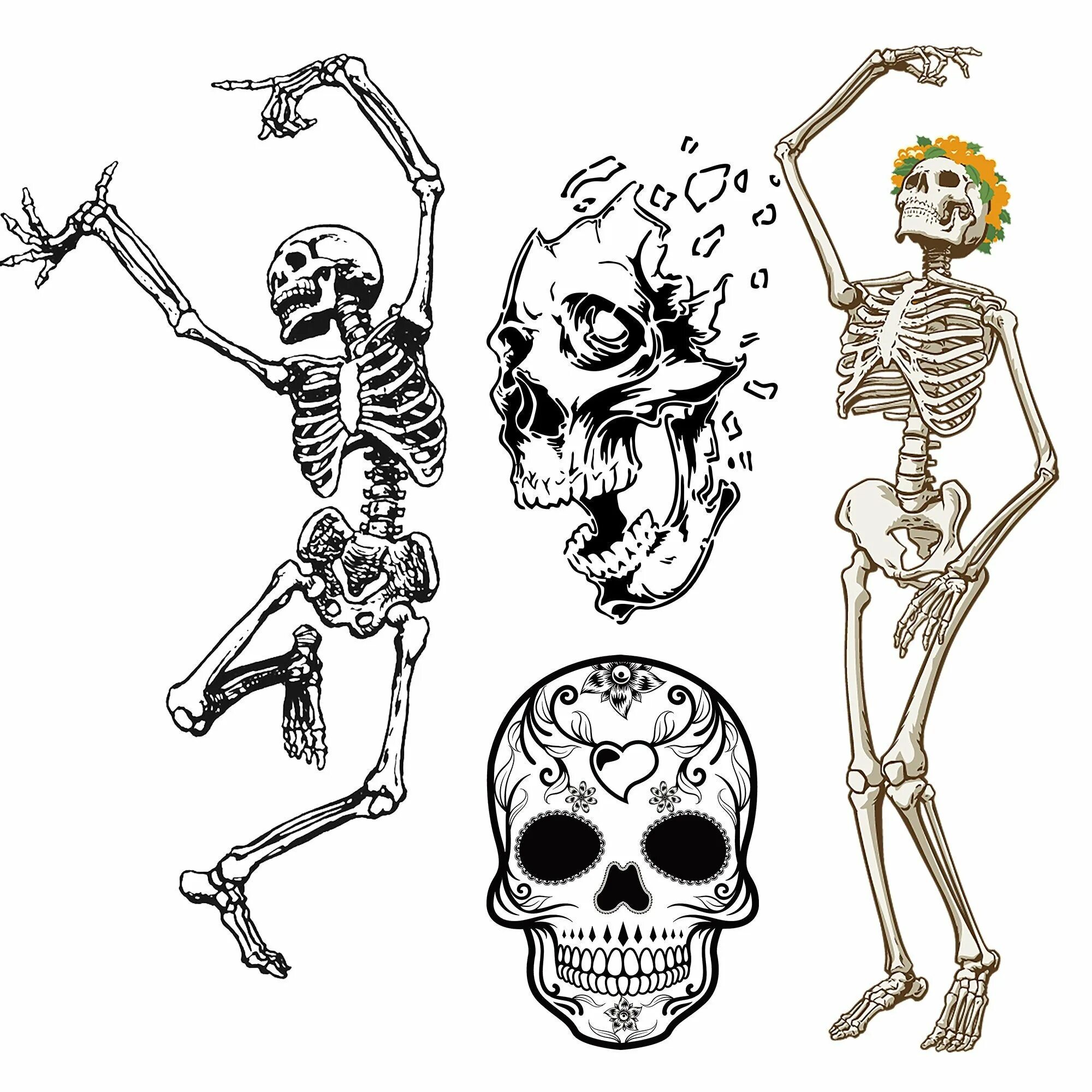 Скелет рисунок. Скелет карандашом. Скелет человека рисунок карандашом. Скелет чертеж. Как рисовать скелет