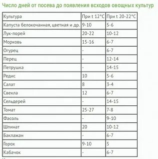 Сколько дней всходят баклажаны после посева