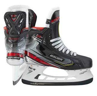 Bauer protocol