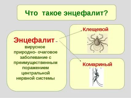 Заболевшие энцефалитом