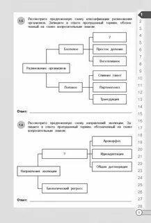 Алгоритм егэ обществознание