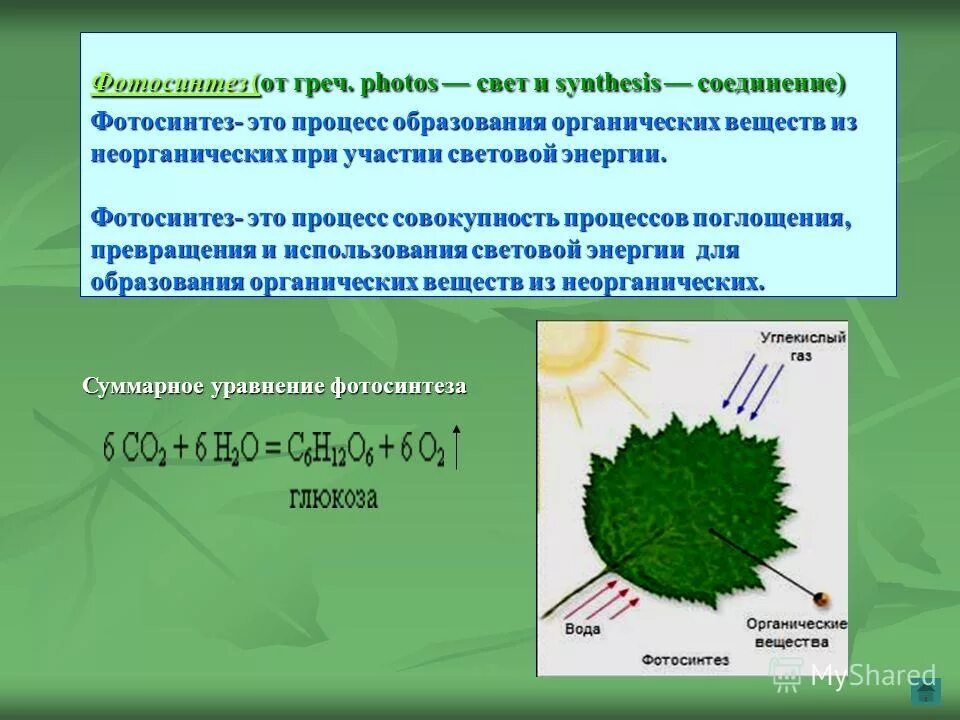 При фотосинтезе образуются ответ