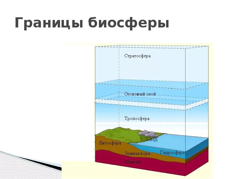 Мощность биосферы. Границы биосферы состав биосферы. Биосфера границы биосферы среды. Границы биосферы 9 класс биология. Структура и границы биосферы схема.