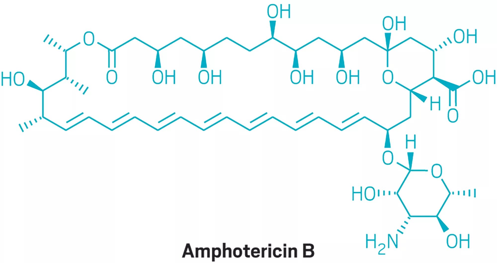 Амфотерицин в липосомальный. Противогрибковые препараты амфотерицин. Амфотерицин б. Амфотерицин в (фунгизон). Амфотерицин лиофилизат.