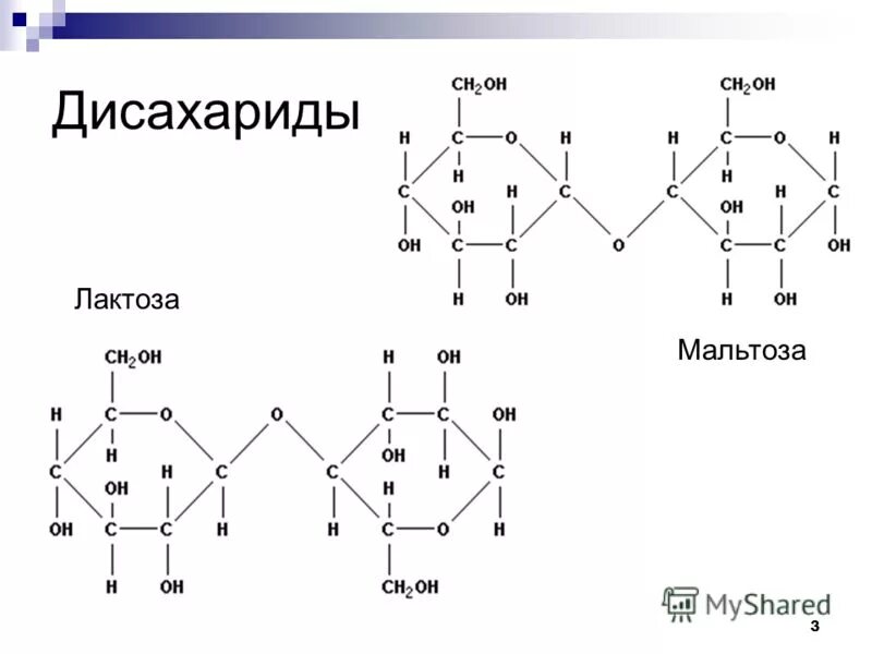 Тест 2 углеводы