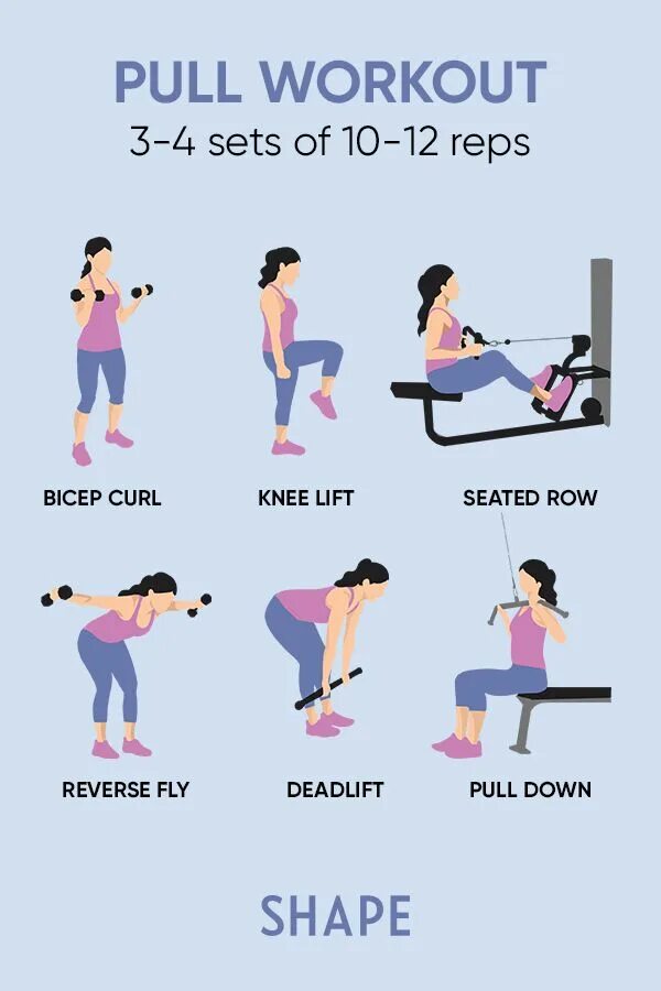 Pull exercises. Push pull workout. push pull тренировка. программа тренировок push pull. pull day workout.