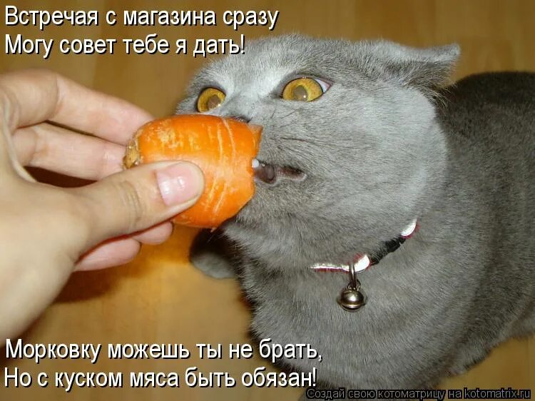 Шутки про морковку. Дам тебе морковку и ты станешь. Радлов. Дам тебе морковку и ты станешь. Стихи стихи про зайку.