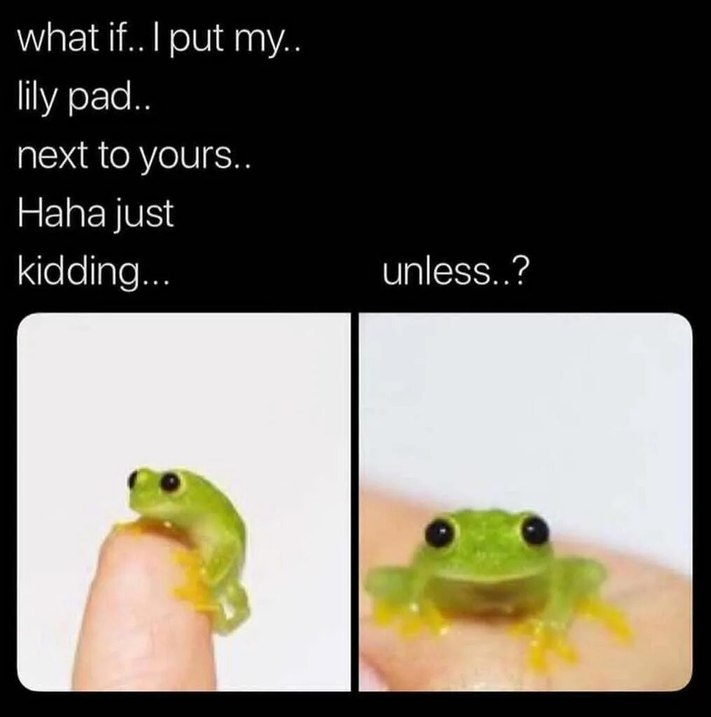 Can i put my. Unless Мем. Just kidding unless. Haha just kidding unless. What if just kidding hahaha unless.