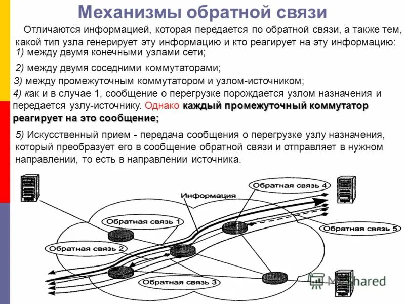 Как отличить связи. Механизм обратной связи.