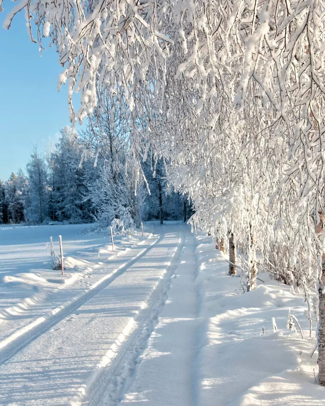 Зимнее снежное день. Снежная зима. Красивая зима. Зима пейзаж. Снежный пейзаж.