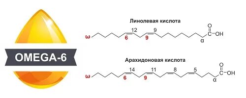 Альфа линолевая кислота