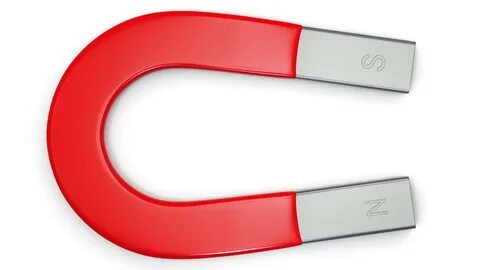 Magnet