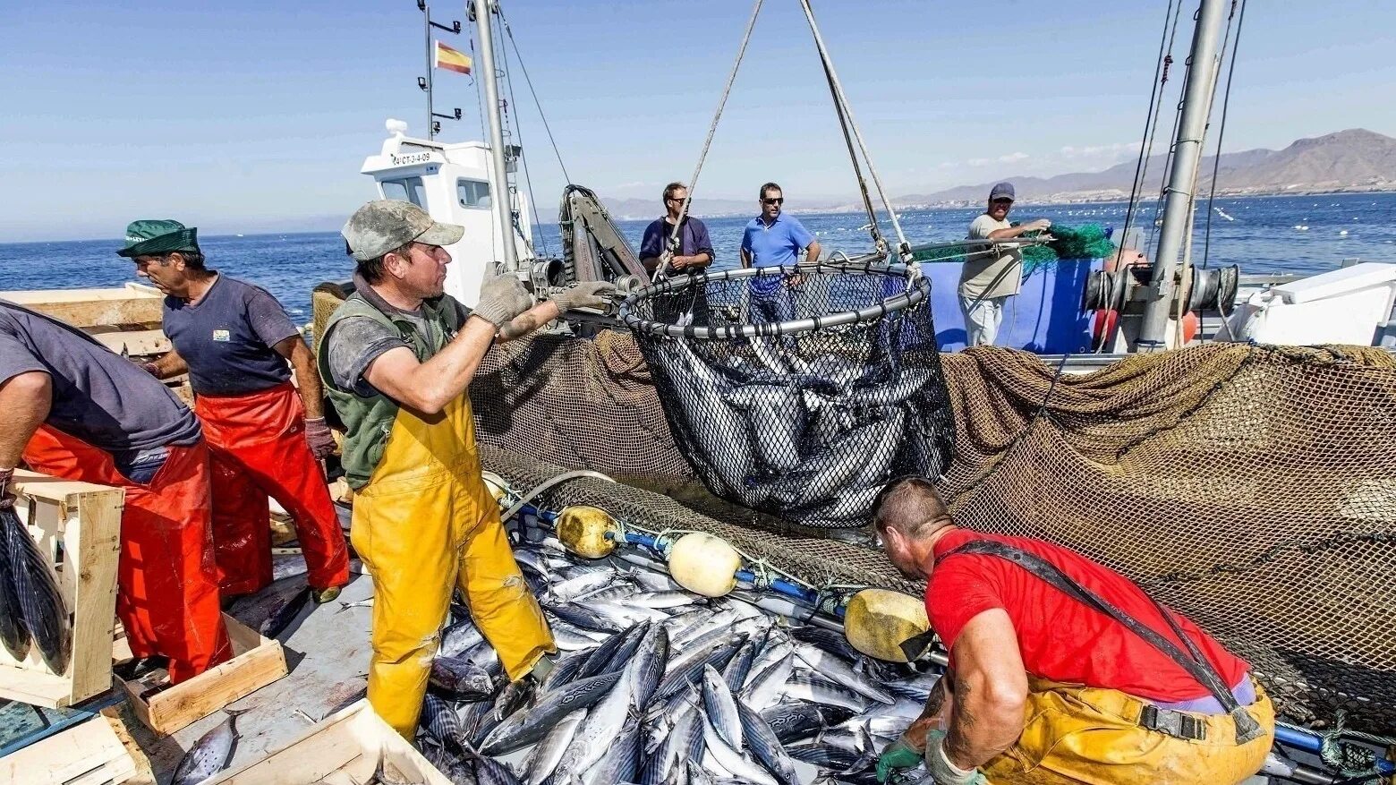 Промыслы в океане. Промысел рыбы. Морское рыболовство. Рыбаки на промысле. Рыбный промысел.