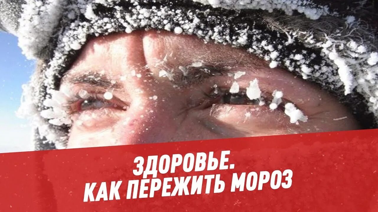 Как пережить эту зиму. Мороз и здоровье. как пережить морозы картинки. как пережить холода.