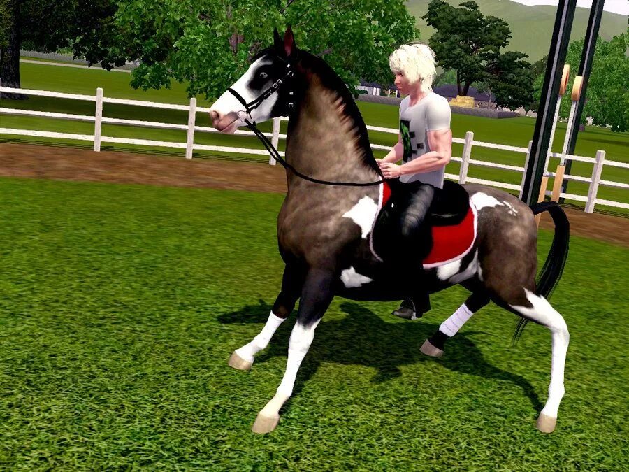 Horse sim. Симс 3 лошади. SIMS 3 лошади. Симс 3 Horses. Симс 3 питомцы лошади.