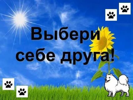 Выбери домой