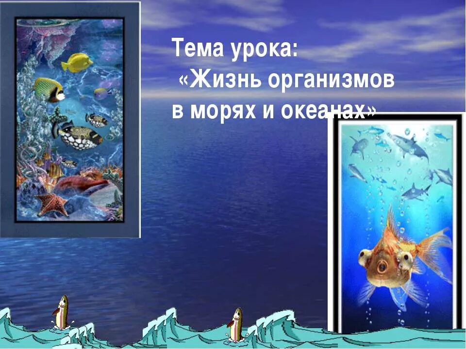 жизнь организмов в морях и океанах. жизнь в морях и океанах 5 класс. жизнь организмов в морях. живые организмы морей и океанов. организмы в морях и океанах.