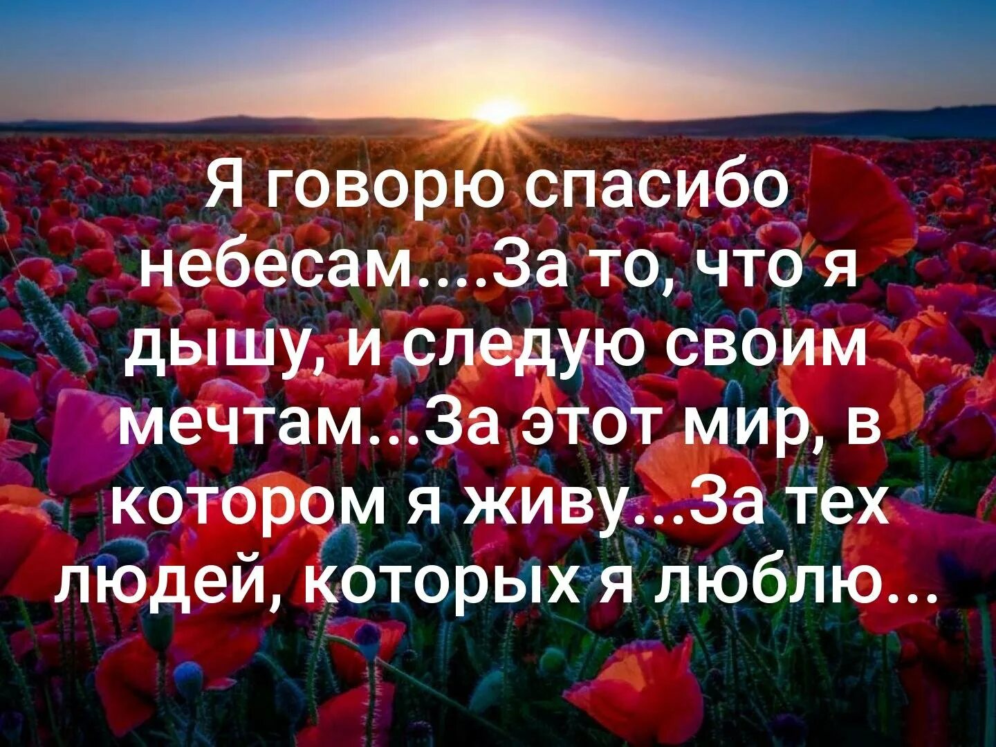 Благодарность Богу. Я говорю спасибо небесам. Я говорю спасибо. Благодарность за новый день. Господи спасибо что рядом есть друзья песня