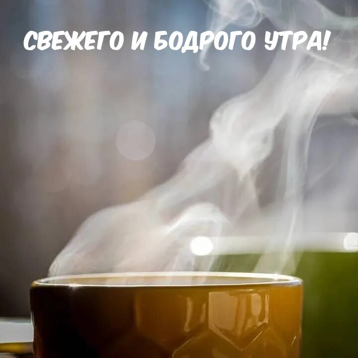 Какое свежее утро. Бодрое утро. Свежее утро. Средство для бодрого утра. Свежесть утра.