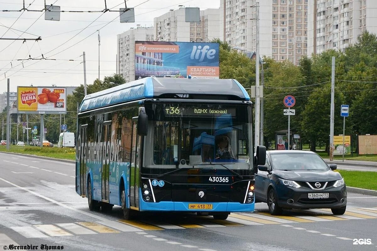 Маршрут т 2. Электробус т36. лиаз 6274 троллейбус. лиаз 6274 номер. лиаз 6274 маршрут т14.