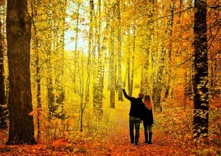 Осень в лесу мы часто ходим