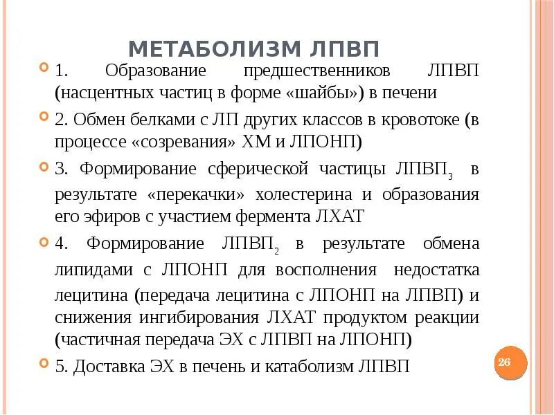 Формирование липопротеидов низкой плотности. Метаболизм лпонп. метаболизм липопротеинов низкой плотности. образование лпвп. метаболизм липопротеинов высокой плотности.