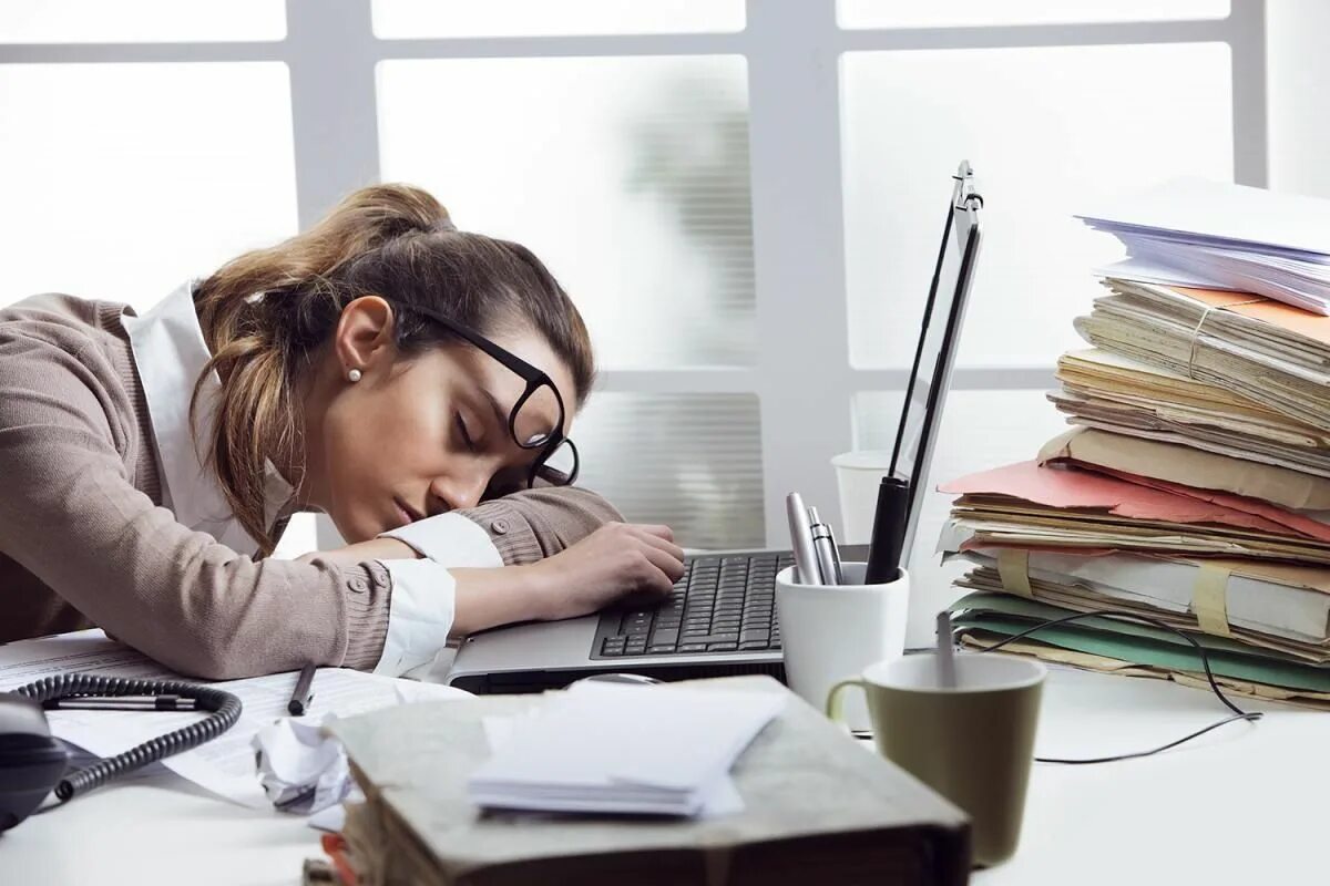 Учеба дом работа. Учеба дом работа