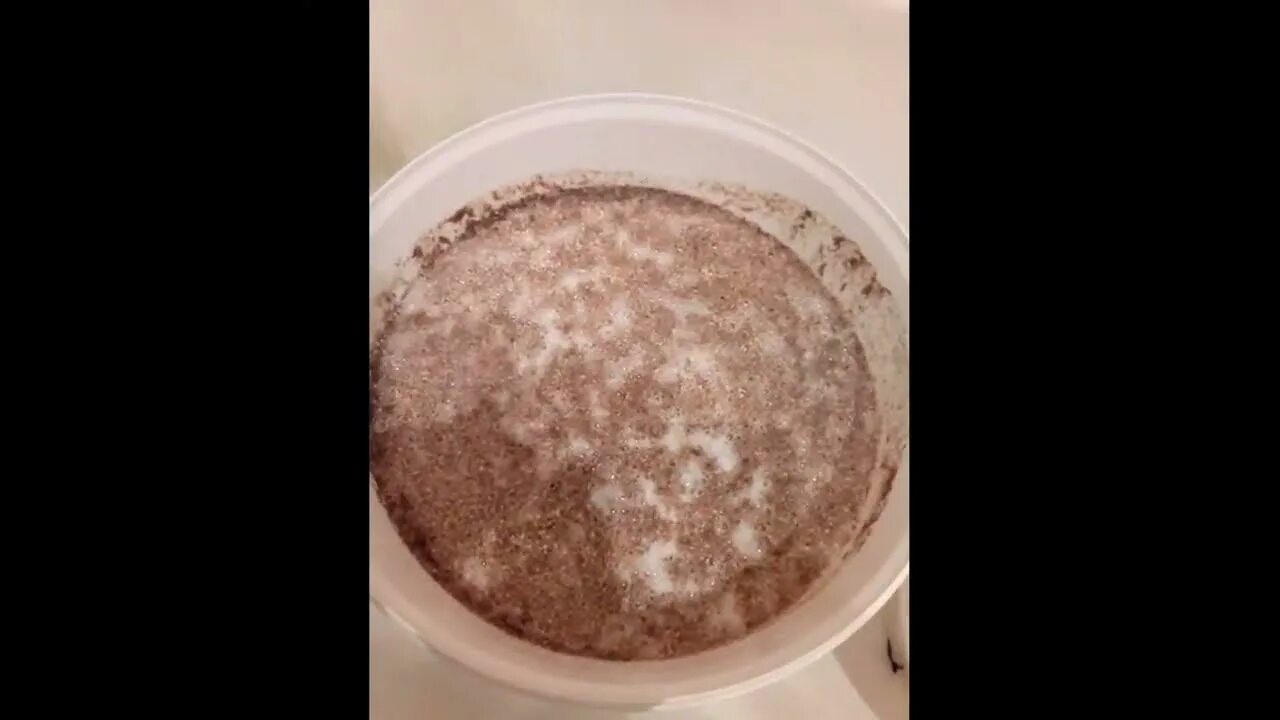 Брага на кодзи отбродила. Первый перегон зерновой браги на кодзи. Брага пена. Зерновой на кодзи. Белая пленка на браге из пшеницы.