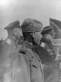 Гвардии дивизия