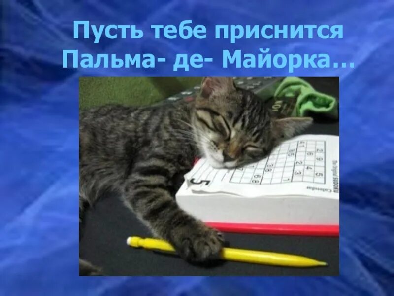 Пусть тебе приснится пальма де майорка шуфутинский. Пусть тебе приснится Пальма де Майорка. Пусть тебе приснится Пальма. Пусть тебе приснится Пальма-де-Майорка картинки. Пусть тебе приснится Пальма-де-Майорка текст.