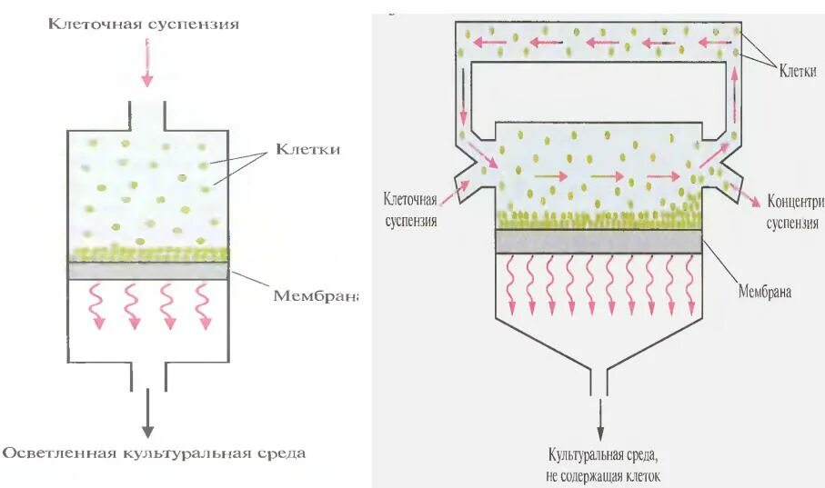 Что значит фильтр. Фильтрование суспензии схема. метод фильтрующихся суспензий. способы фильтрации.
