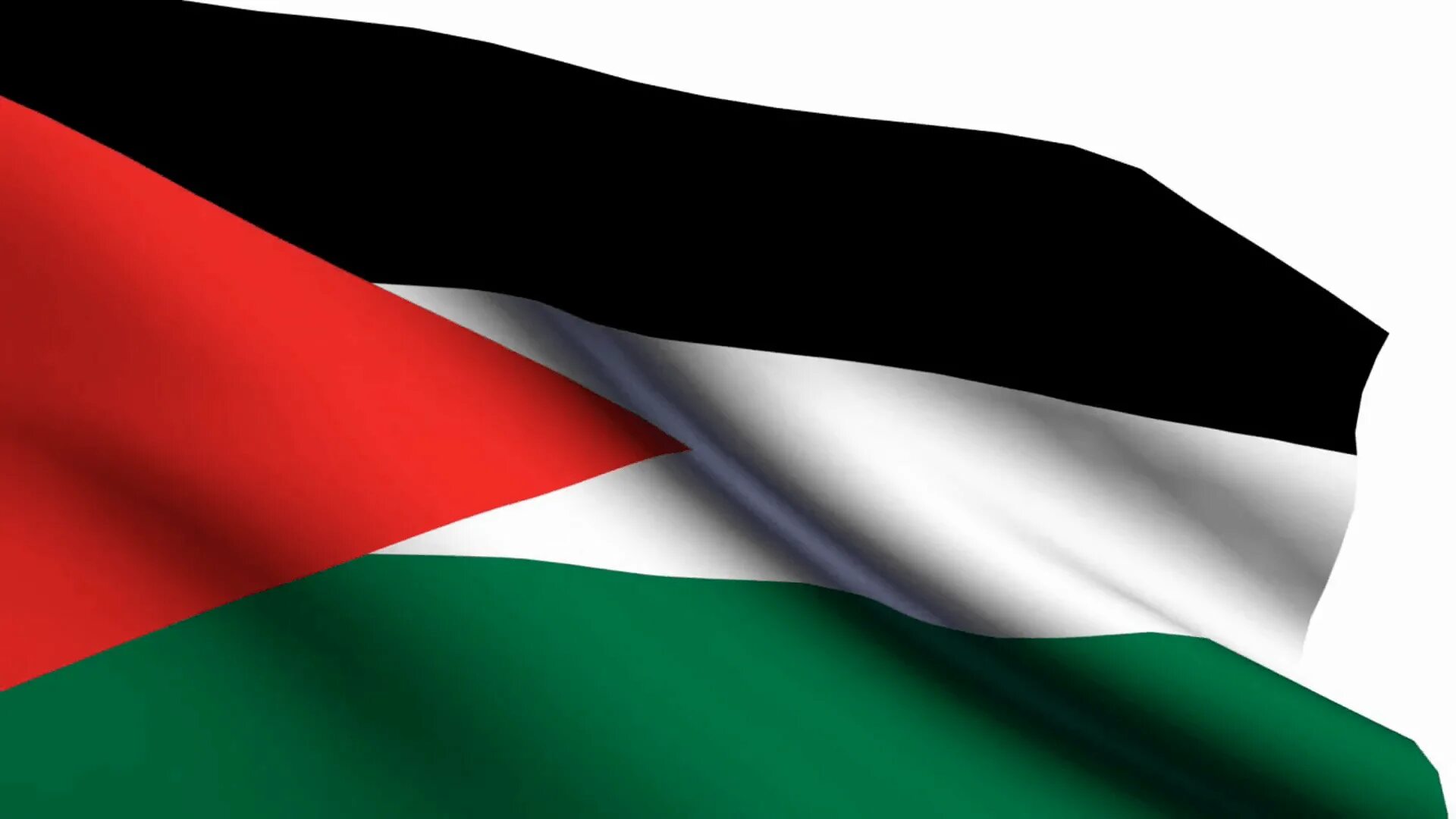 Похожие флаги. Флаг палестины и иордании. Флаг флаг иордании. Палестинский флаг и иордании. Альтернативный флаг палестины.