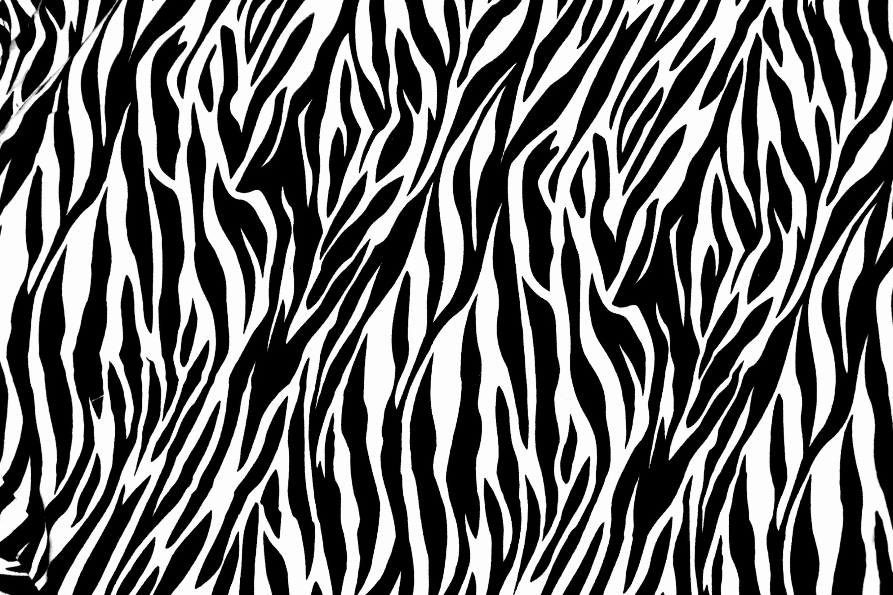 Animal pattern