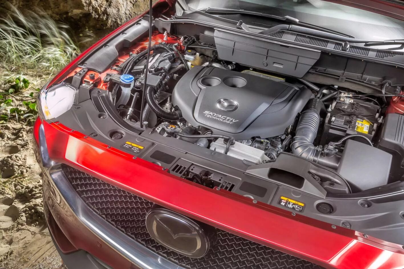 Моторное 2017