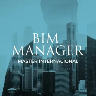 Bim менеджер