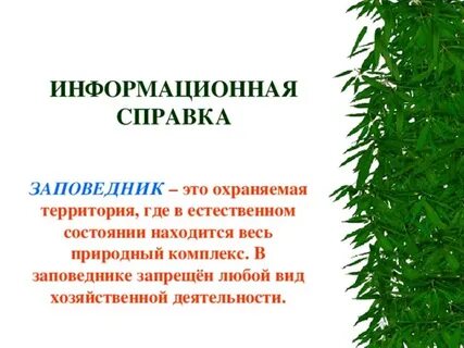 На территории заповедников запрещается
