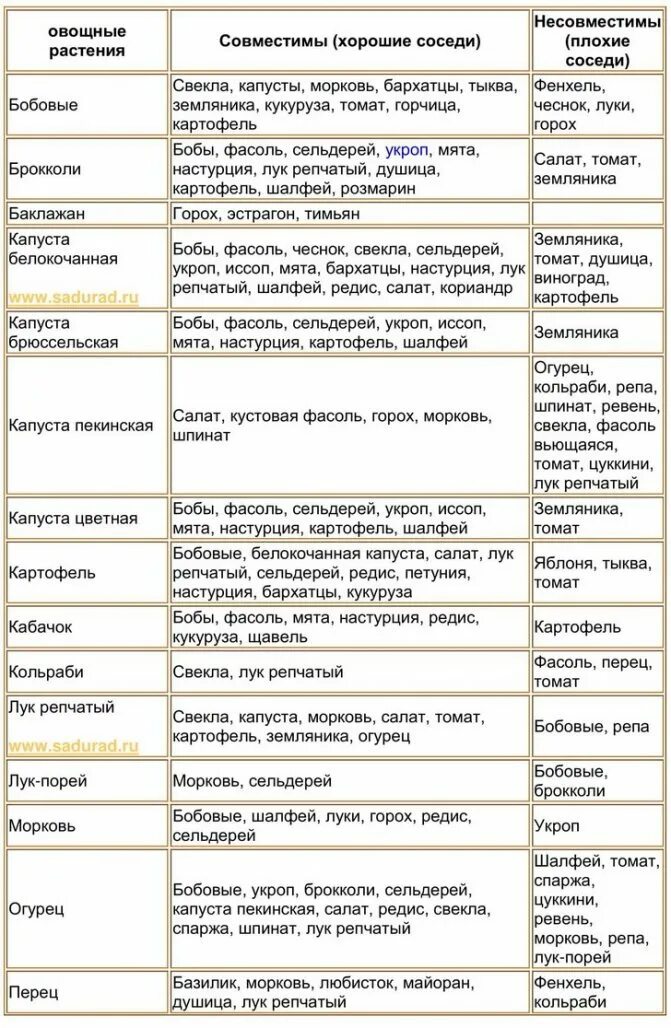 После каких культур можно сажать перец. Таблица совместимости овощей на грядке. Таблица совместимости посадок овощных культур. Смешанные посадки овощей и цветов таблица. Таблица совместимости растений на огороде соседство овощей.