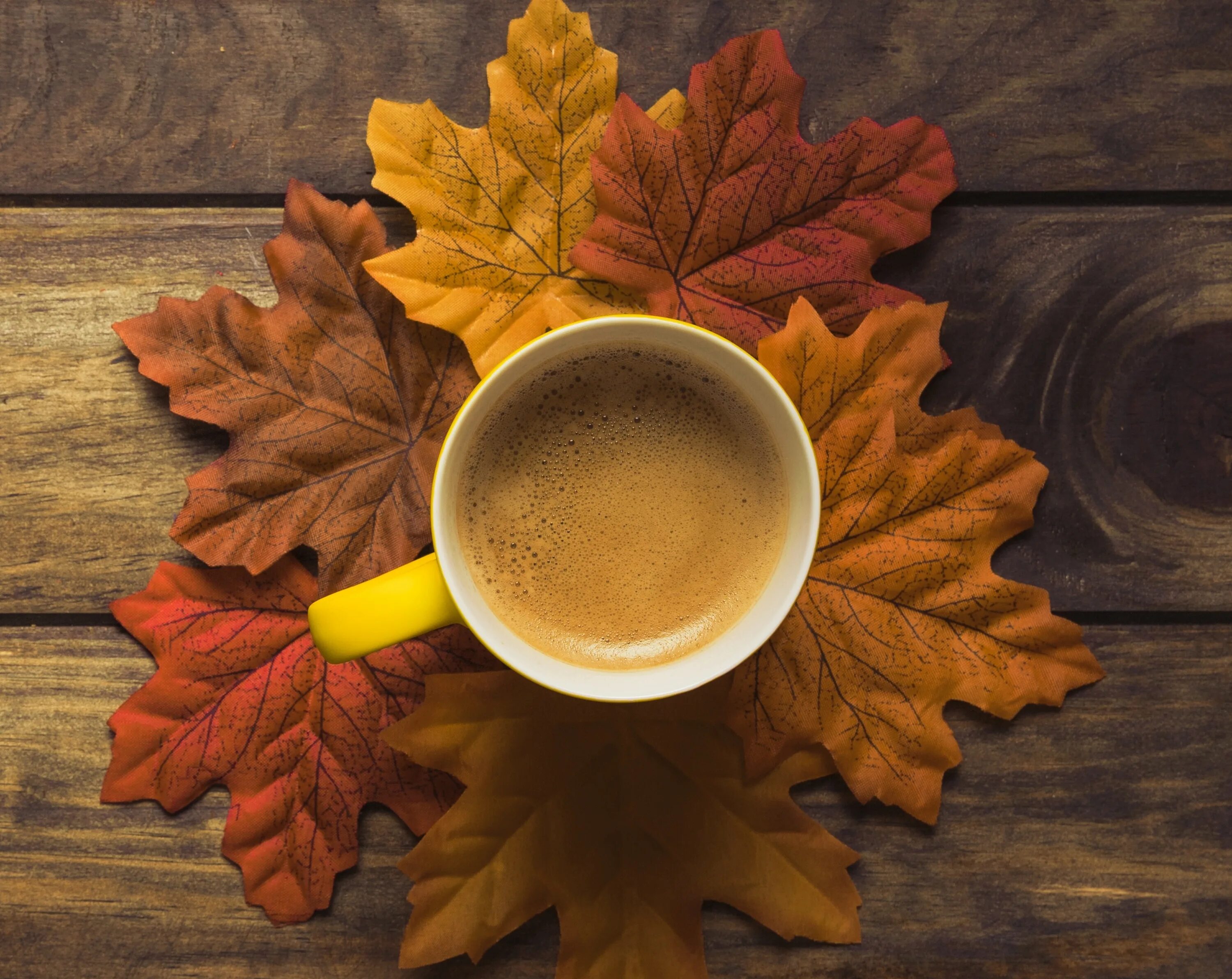 Осень горячий кофе. Осень кофе. Кофе осенью. Осенняя чашка. Осеннее чаепитие.