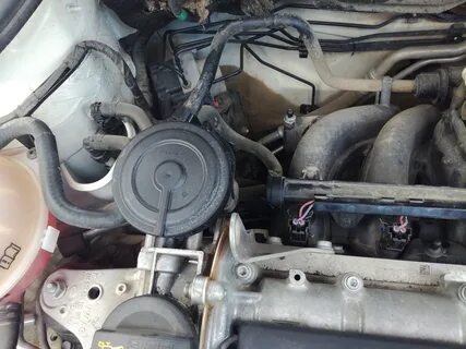 Картерные газы поло седан