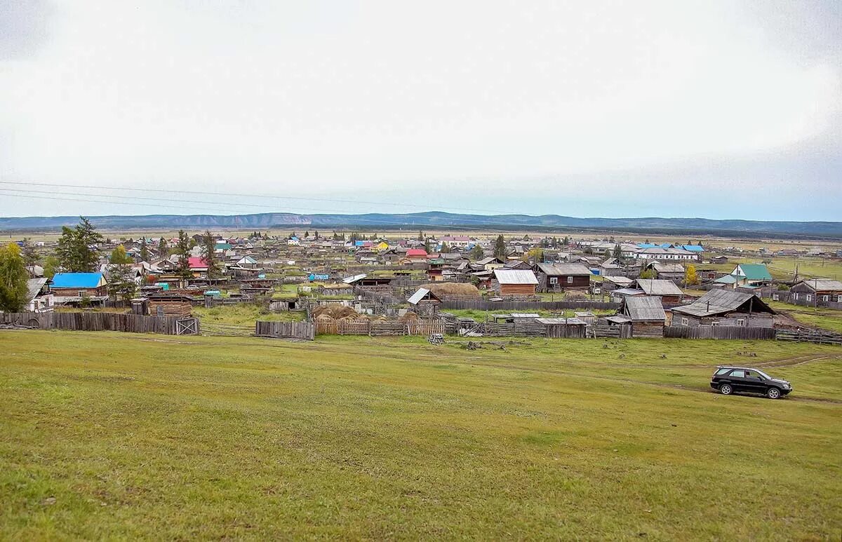 Абага. Папоротник орляк дальневосточный. Папоротник кочедыжник. Папоротник орляк. Папоротник щитовник.